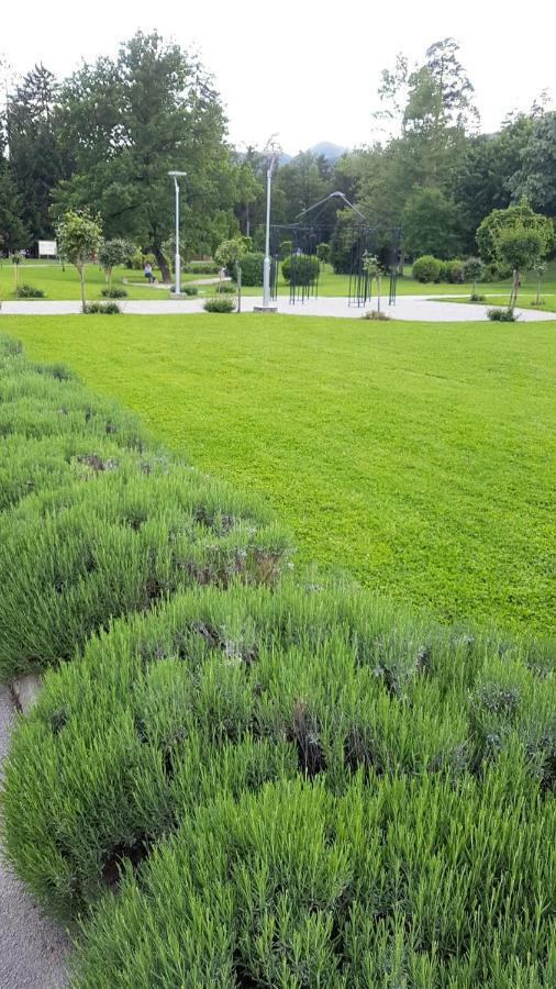 Garni Hotel Zvon Zreče المظهر الخارجي الصورة